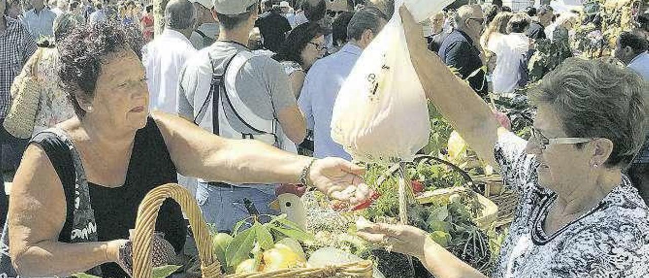 Un puesto del Certamen de la Huerta de este año.