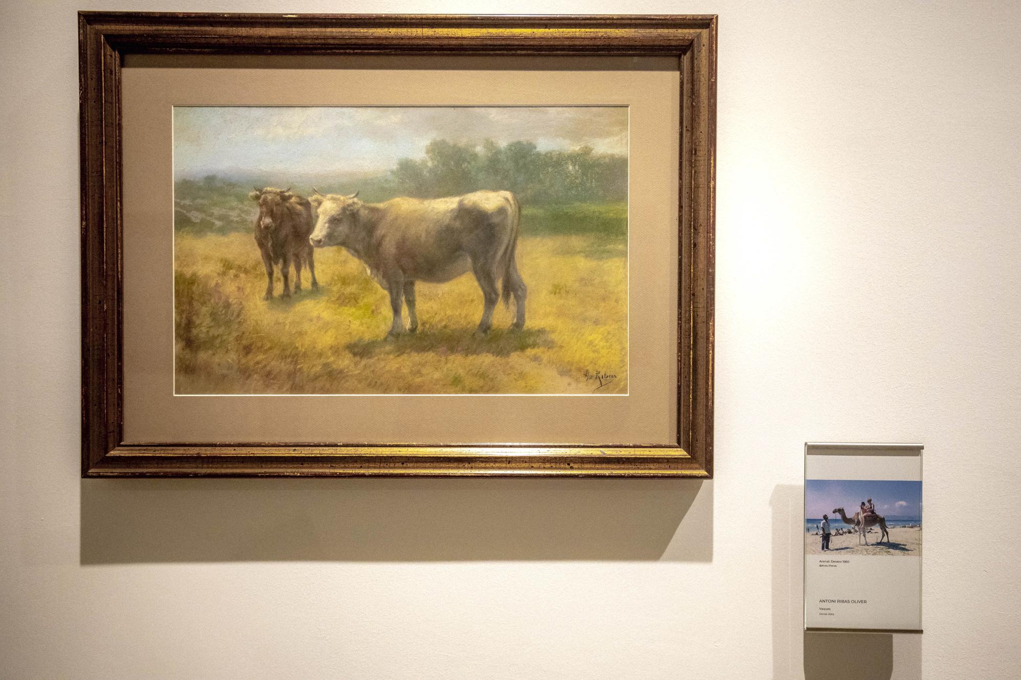 El Museu de Mallorca acoge una exposición que relaciona parte de sus cuadros de paisajes con fotos del archivo Planas