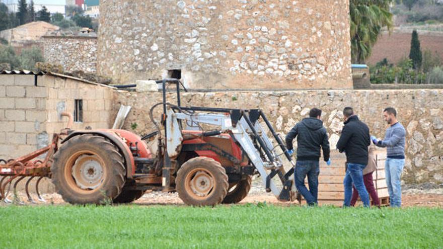 Muere un hombre de 47 años aplastado por una carga de palés en Muro