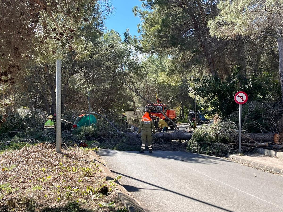 WhatsApp Image 2026-02-14 at 19.57.41