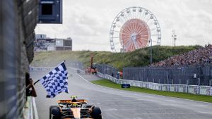 Formula One Dutch Grand Prix - Race