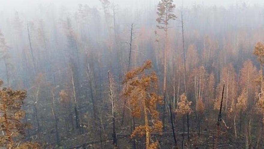 Humo de la superficie quemada en Siberia.