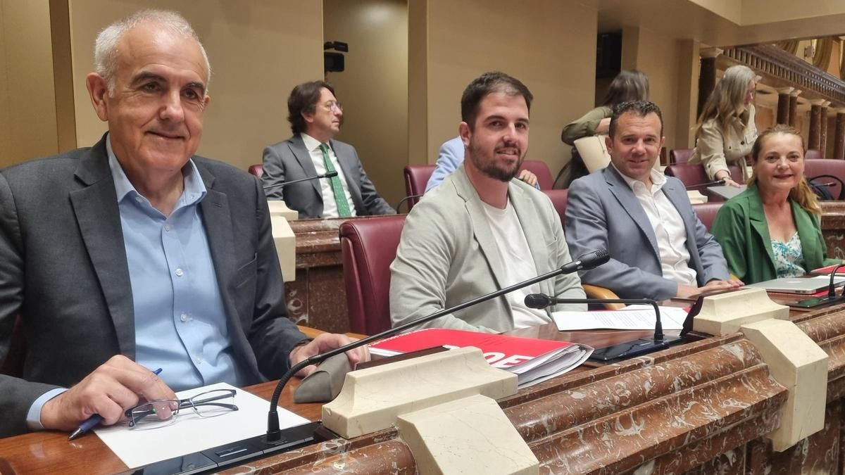De izda. a dcha., los diputados socialistas Alfonso Martínez Baños, Miguel Ortega, Fernando Moreno y Virginia Lopo.