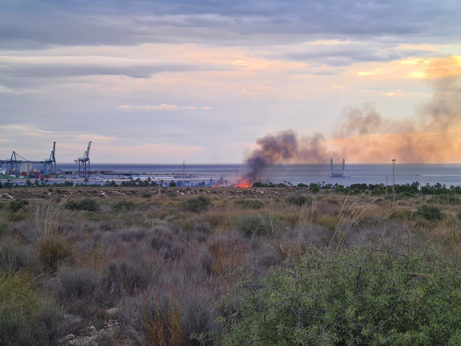 Así ha sido el fuego junto a El Palmeral de Alicante