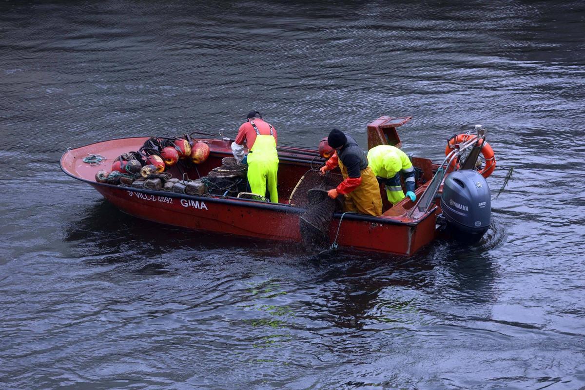 Así se pescan las primeras lampreas de la temporada.