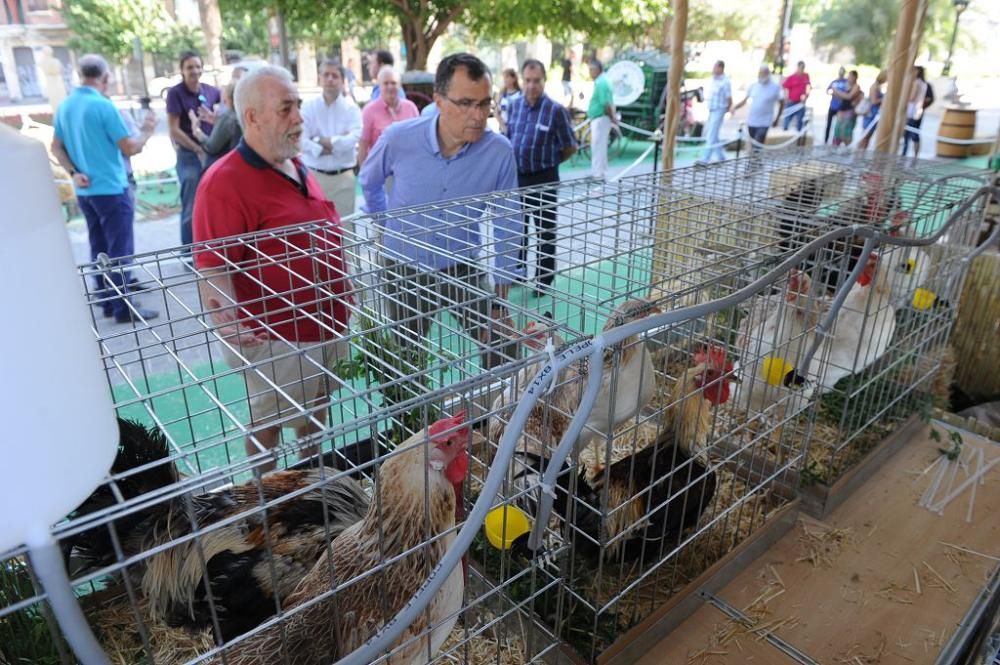 II Muestra de Productos de la Huerta