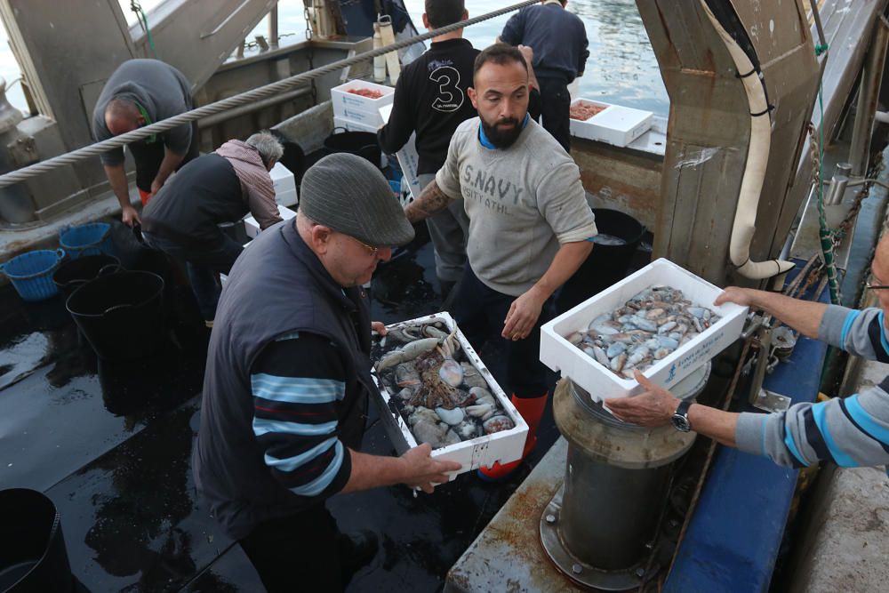 Tan solo cinco compradores y un barco se encargan de llevar el marisco y el pescado de arrastre cada día a la mesa de los malagueños donde la merluza y las gambas son las grandes protagonistas.