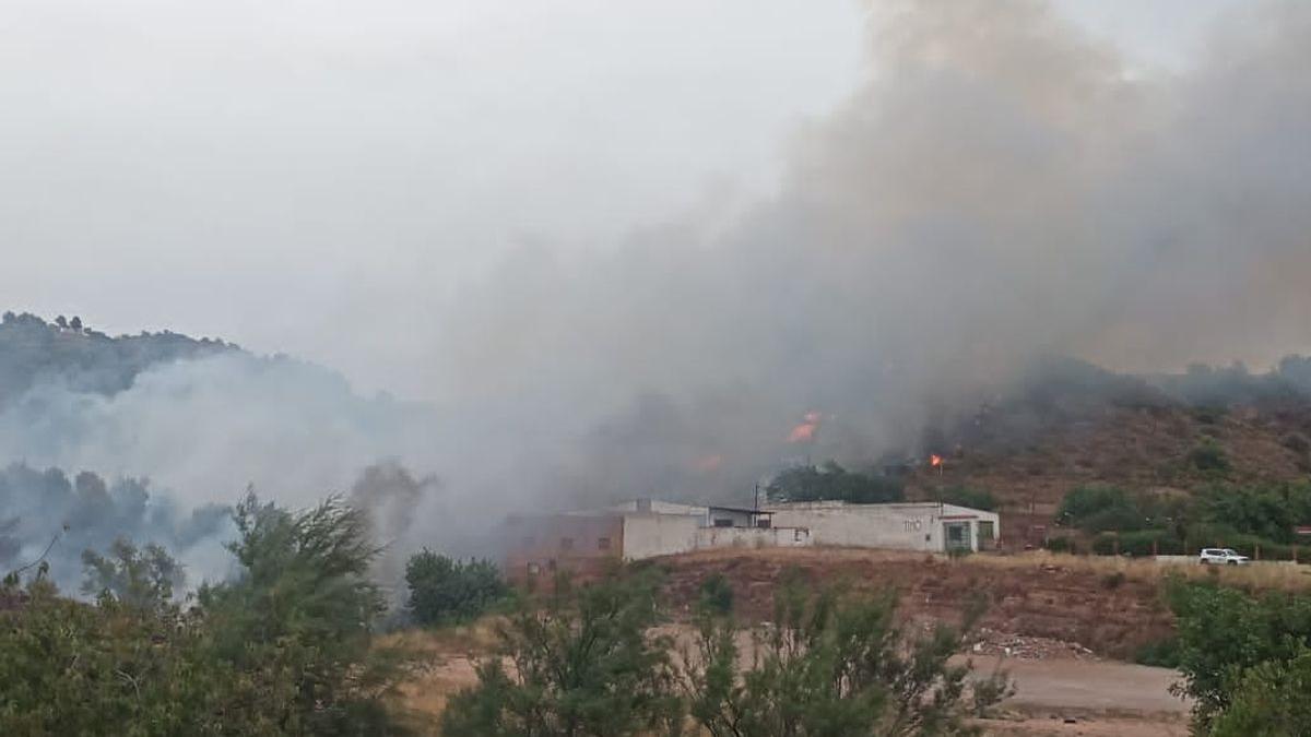 Declaran un incendio en una zona de cultivo abandonado en La Vall d'Uixó