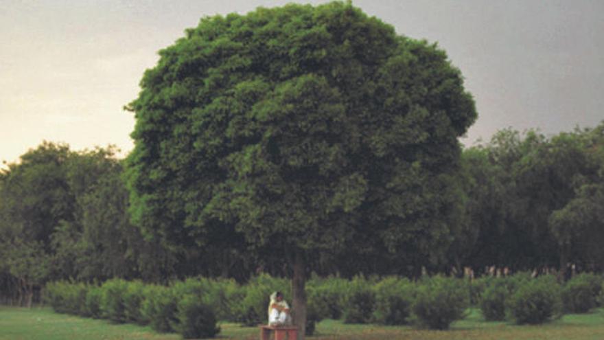 El jardín de las viudas en Agra.