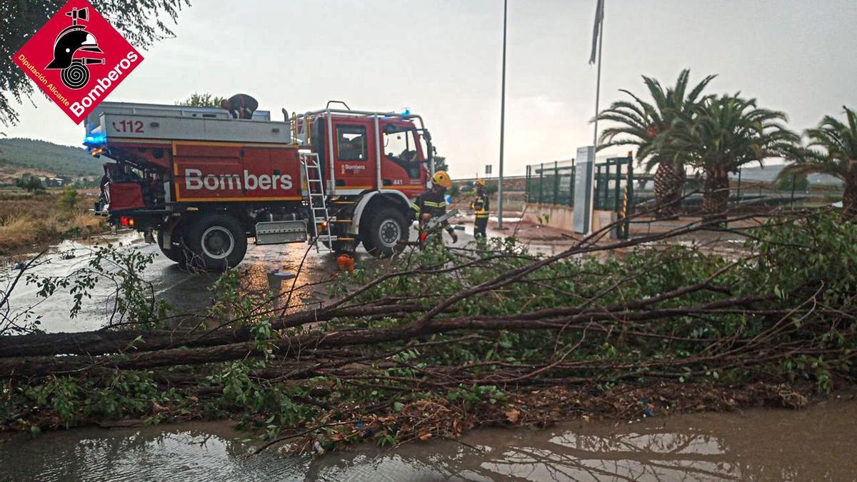 La carretera de Beneixama permaneció cortada por la caída de árboles.