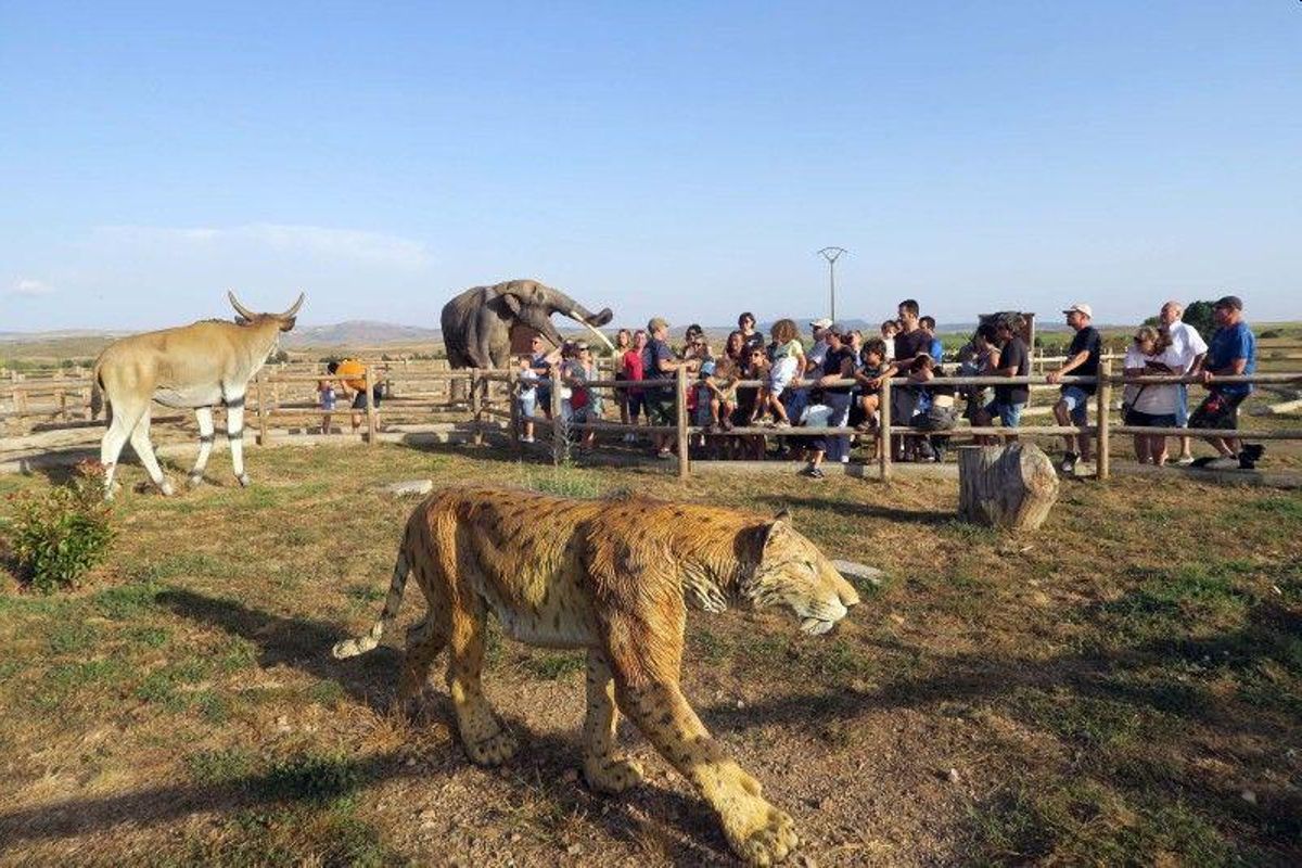 Uno de los principales atractivos de El Pobo es el safari por su propia sabana.