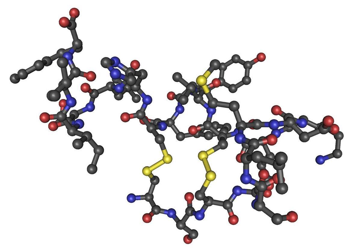 El péptido sintetico RA08, una esperanza para el cáncer infantil y el de mama