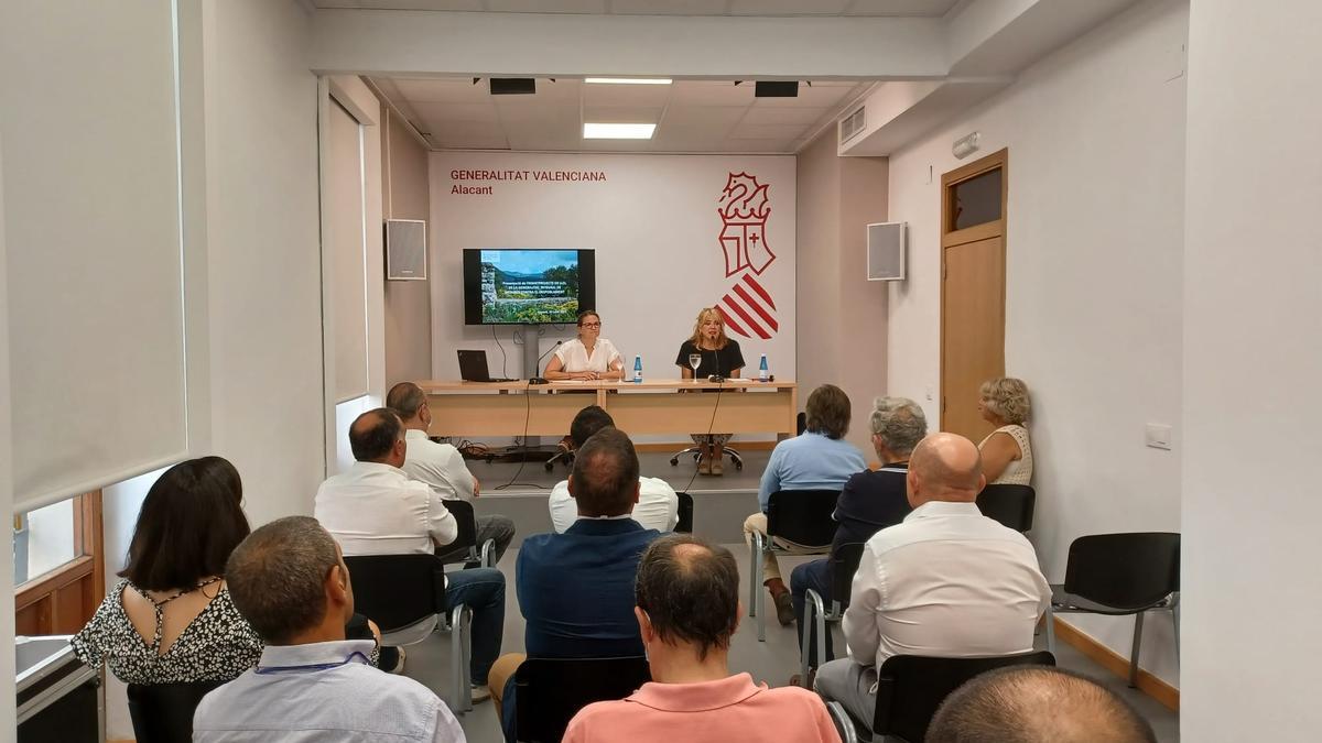 La reunión mantenida en Alicante.