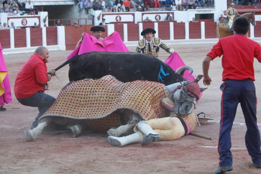 Toros en Zamora