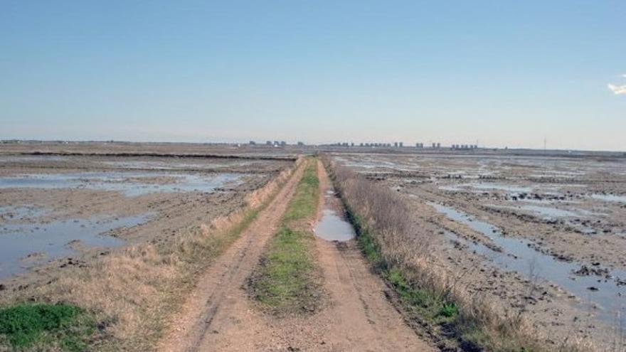 La vuelta a la Albufera