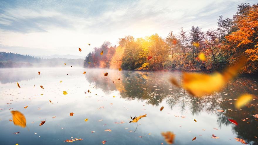Dónde están los mejores paisajes de otoño en España? Esta es nuestra  selección - Viajar