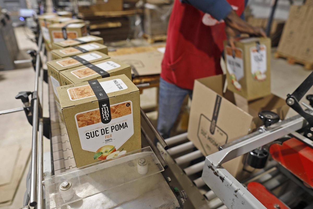 Pau i Guillem Frigola, propietaris de Mooma, i els seus productes