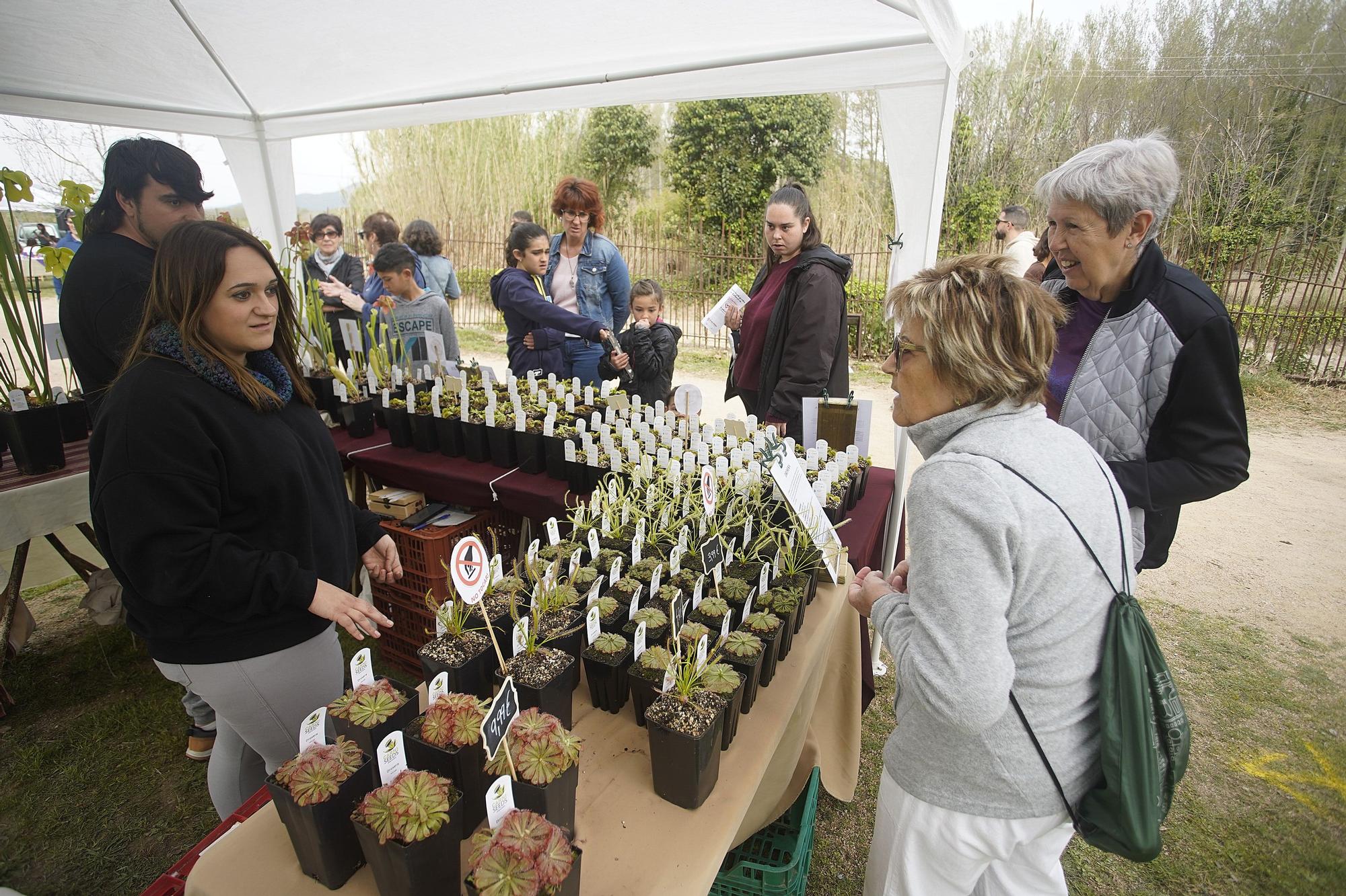 La Fira de la flor i el planter en imatges