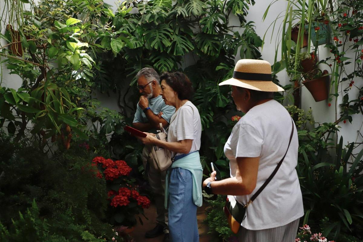 La ruta de los patios de San Lorenzo, en imágenes
