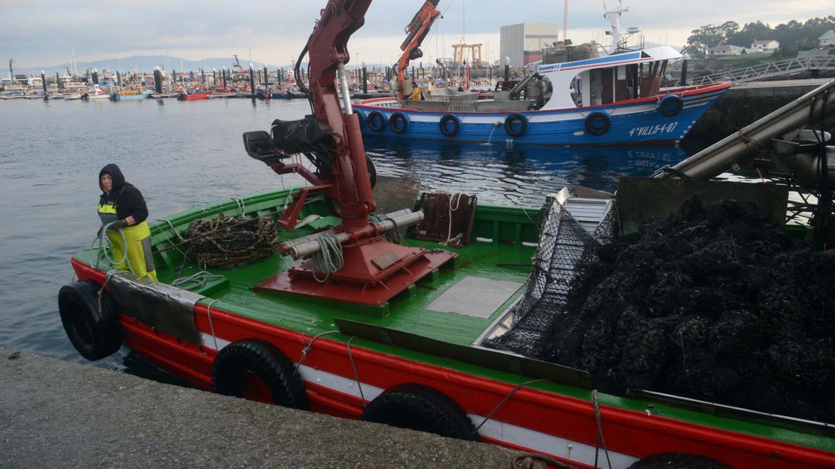 Barcos auxiliares de acuicultura en el puerto de A Illa.