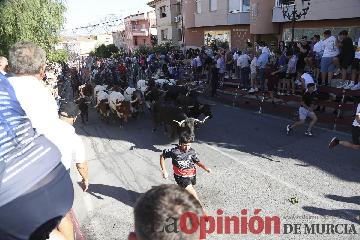 Quinto encierro de las Fiestas de Moratalla
