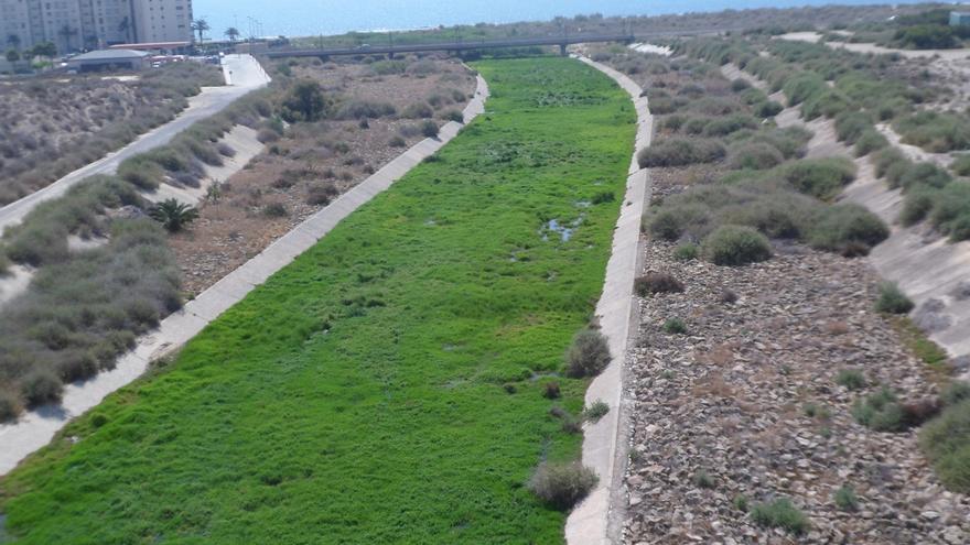 El TSJ tumba el plan que protegía la desembocadura del río Seco en El Campello