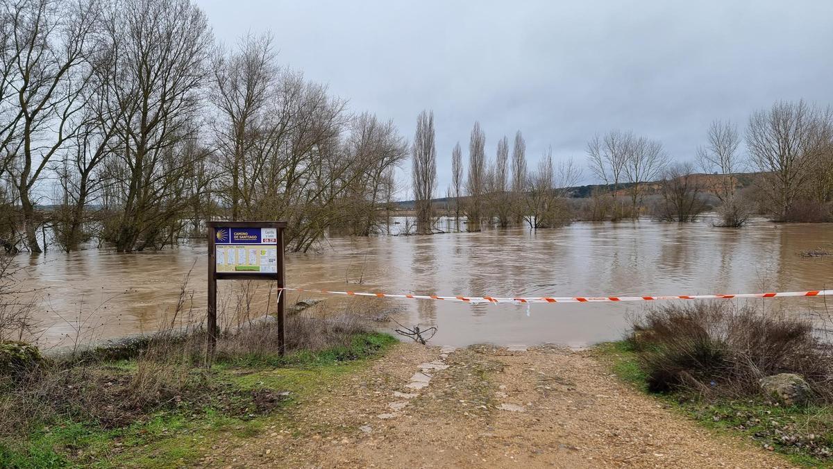 GALERÍA | La crecida del río Duero anega algunas zonas de Toro