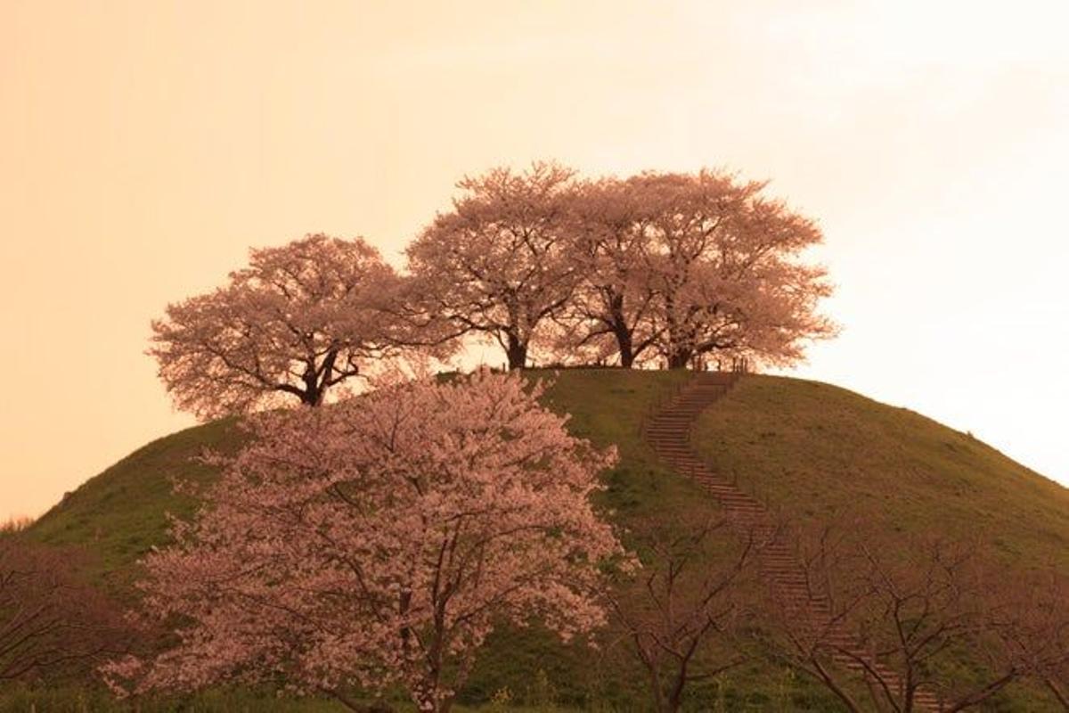 Parque Histórico Sakitama en Gyoda, en la prefectura de Saitama.