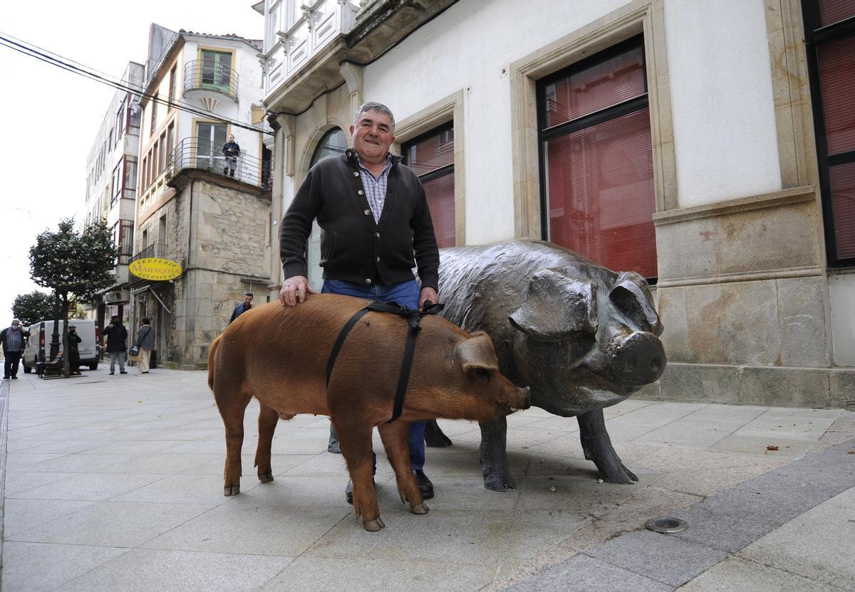 Manuel Dovalo posa con Queitano, o porco que se fixo viral estos días e que abrirá o desfile trala lectura do pregón.