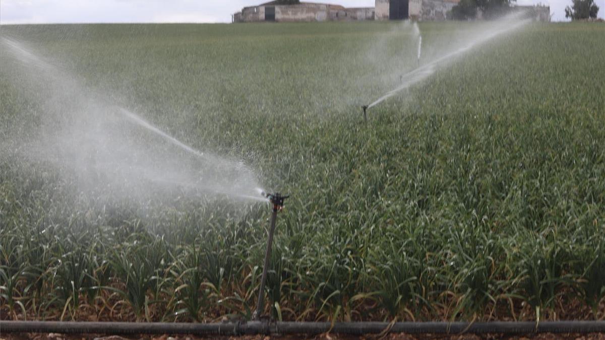 La Confederación del Guadalquivir aumentará la dotación de regadío tras las lluvias de mayo