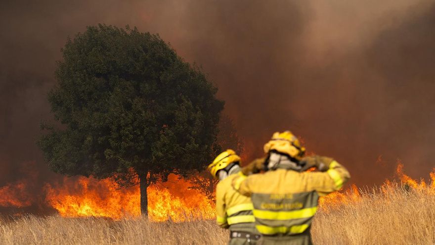 España, en llamas: Interior declara la fase de preemergencia por los incendios que asolan la península de Zamora hasta Tarifa