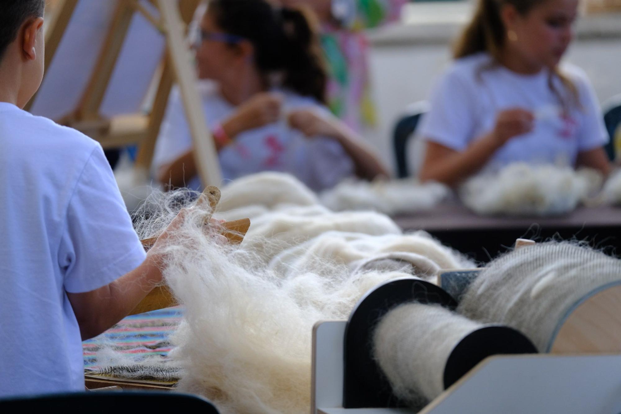 Fiesta intergeneracional de la lana de la Fundación Lidia García