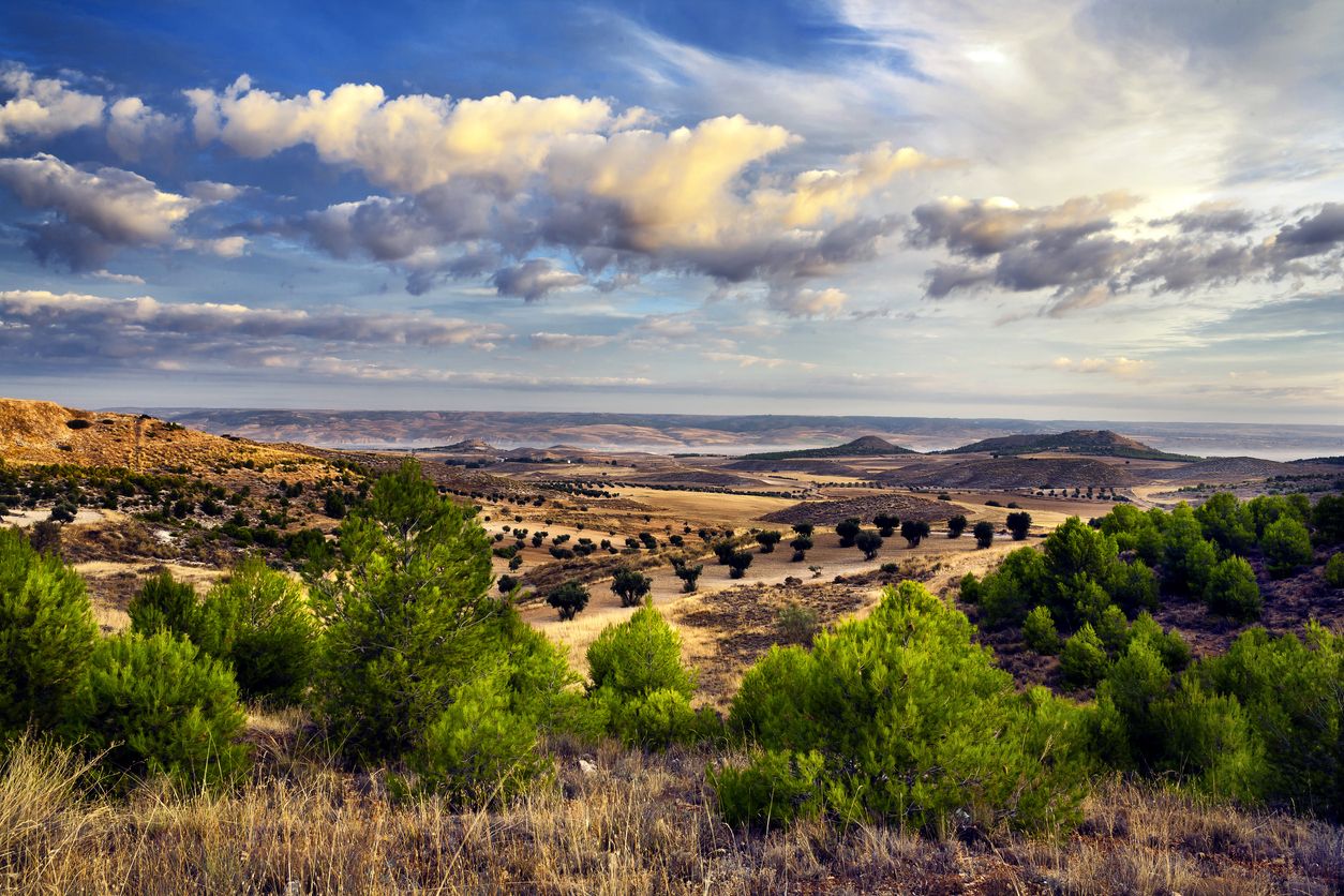 Paisajes aledaños a Villarubia de Santiago.