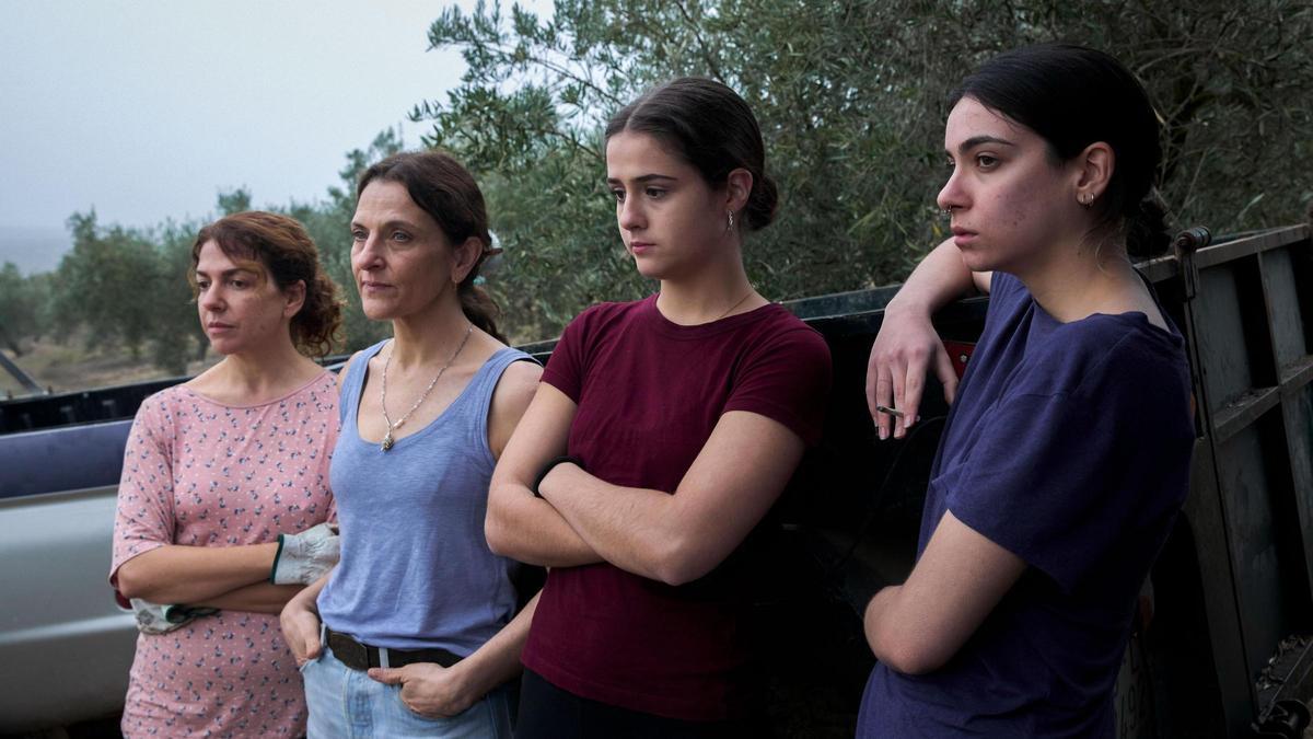 Escena de la película 'Los Tortuga'.