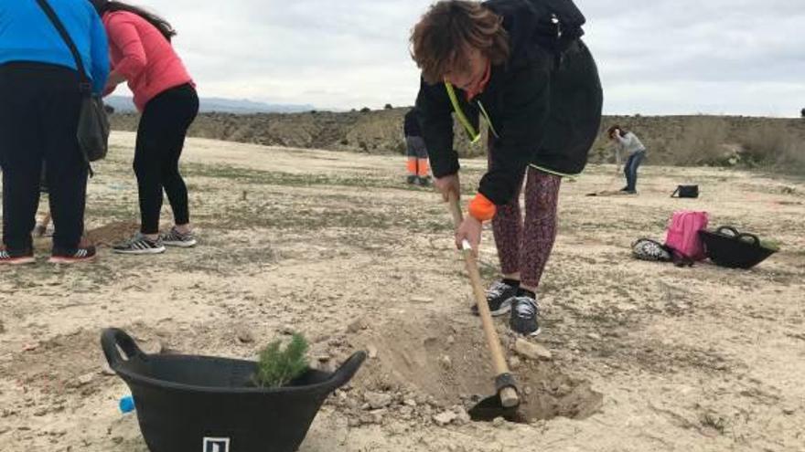 Setenta personas apadrinan un árbol dentro de una campaña medioambiental