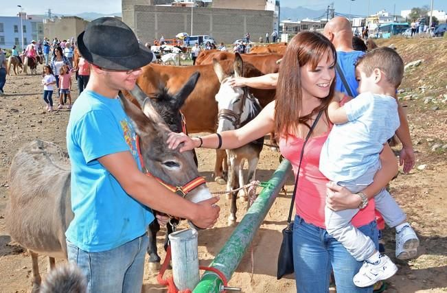 FIESTAS DE SAN GREGORIO