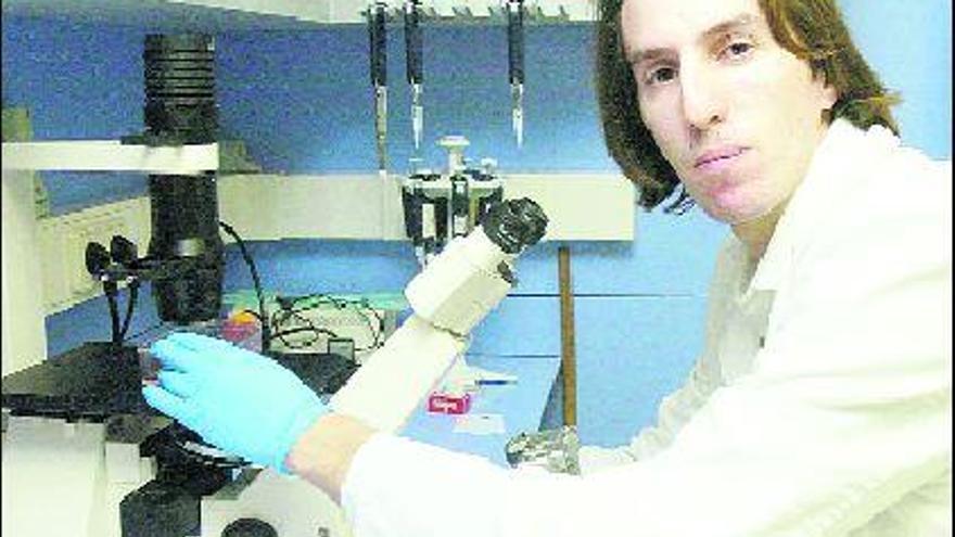 Javier A. Menéndez, en el laboratorio del Instituto de Investigación Biomédica del Hospital de Gerona.