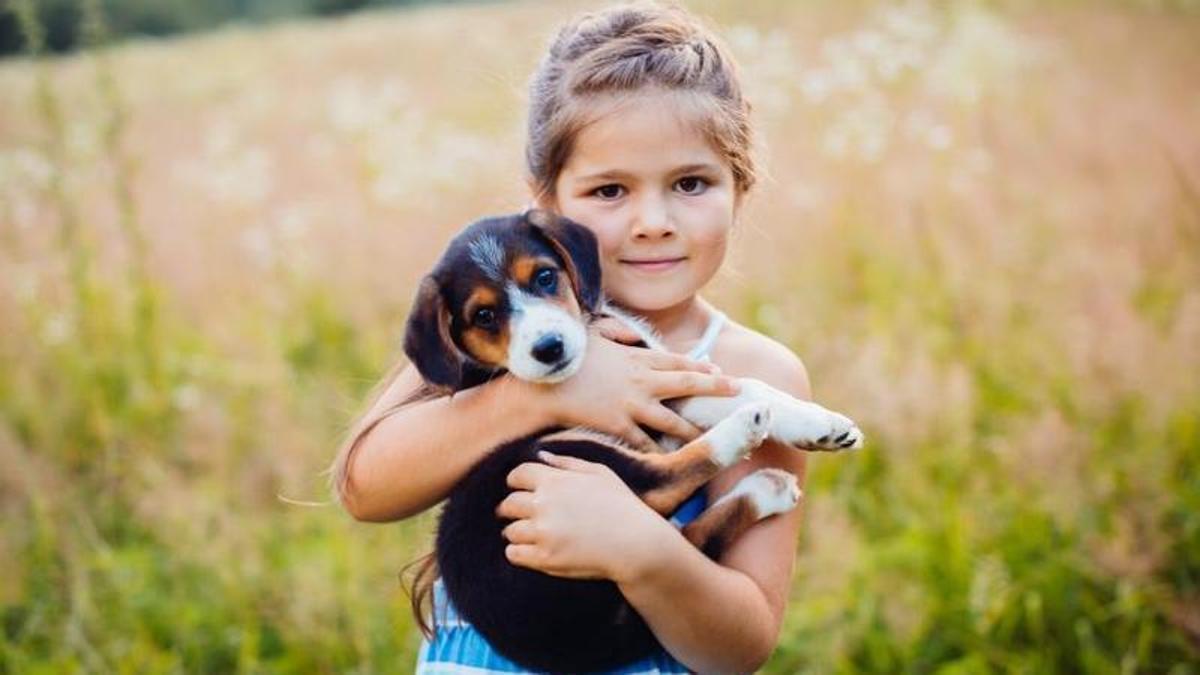 La millor raça per la teva família?