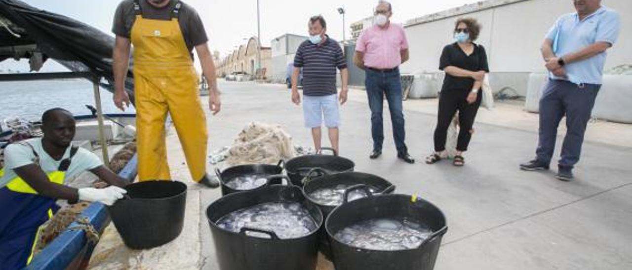 Izquierdo y Picornell junto a representantes de la cofradía ante capazos llenos de medusas. | ÀLEX OLTRA