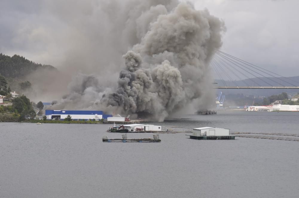 Un aparatoso incendio ha obligado a evacuar este lunes por la  tarde la nave de la empresa Fandicosta, en Moaña (Pontevedra),  dedicada al procesado de congelados del mar y situada en el lugar de  Verdeal, en la parroquia de Domaio, y una densa humareda cubre parte  de la ría, especialmente en la zona del puente de Rande.