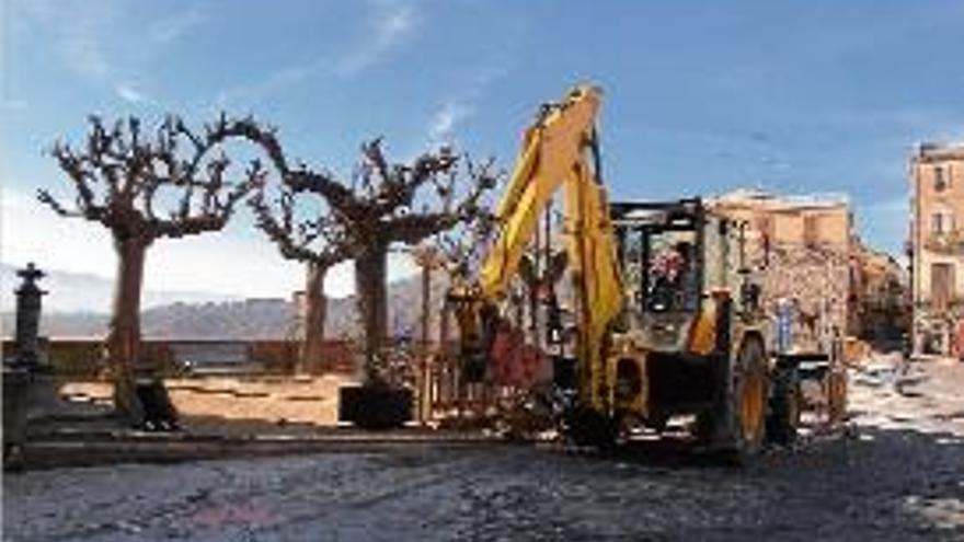 Imatge d&#039;arxiu d&#039;alguns dels arbres de la plaça dels Bous d&#039;Hostalric.