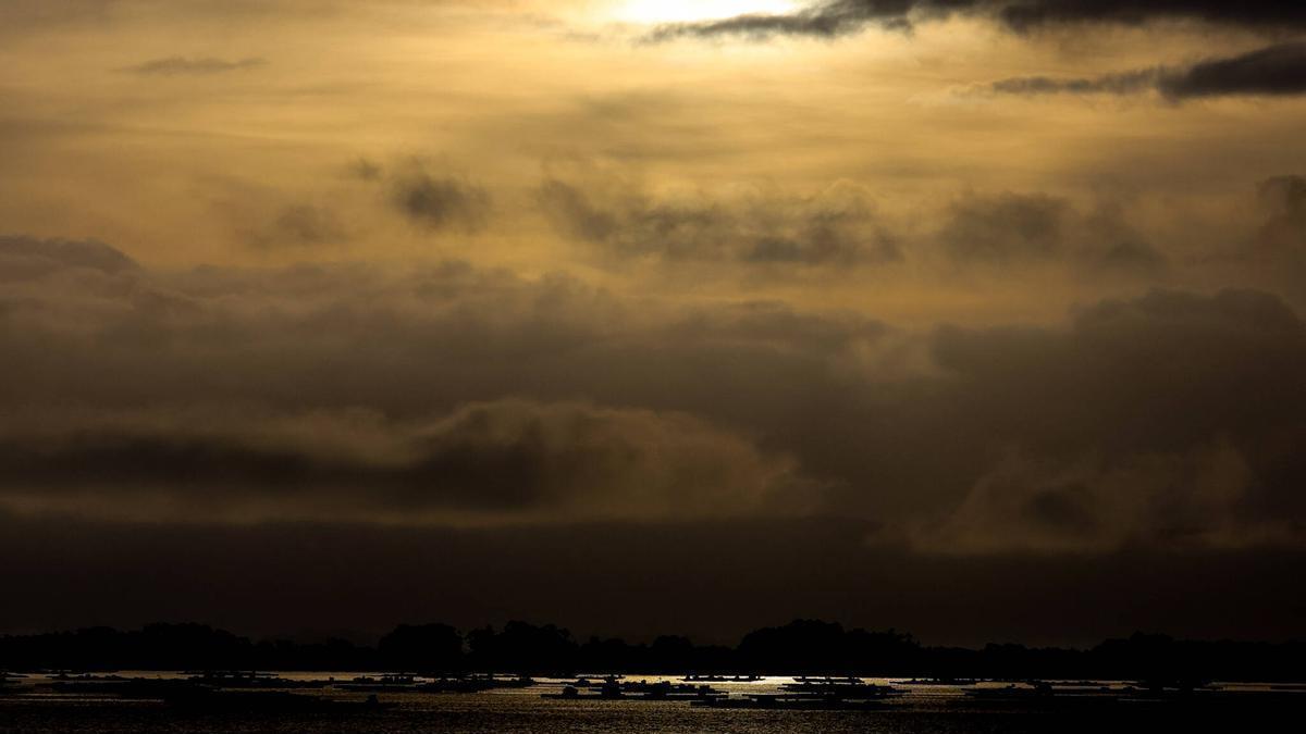 El sector bateeiro afronta un panorama complicado a causa de las biotoxinas.