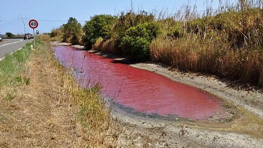 Las aguas de un sector del parque se han teñido de rojo.