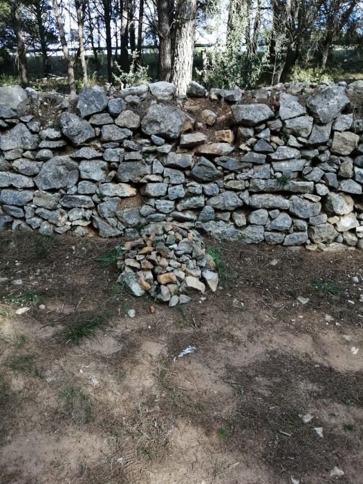 Robatori a les parets de pedra seca de l'Escala