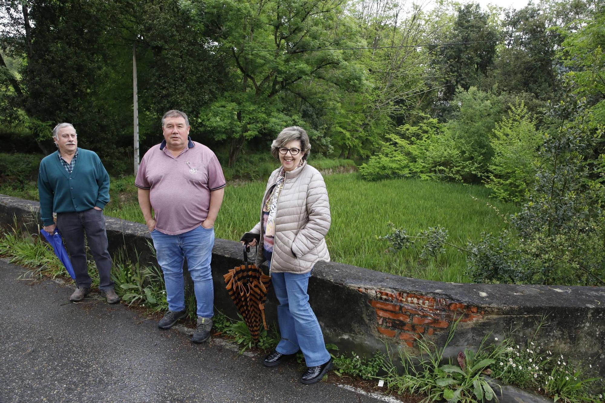 La zona rural de Gijón urge un mantenimiento continuo en ríos y arroyos (en imágenes)