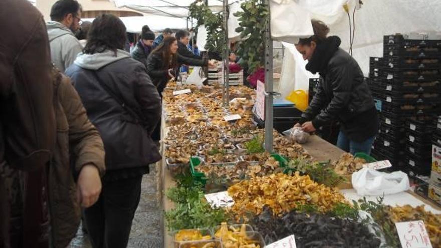 Los puestos que vendían setas se concentraron en una carpa en la plaza de la iglesia.