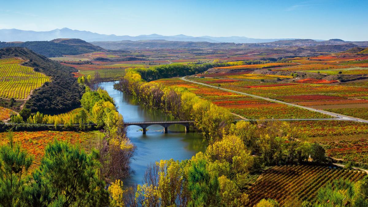 Paisaje otoñal de Baños de Ebro, en el término de la Denominación de Origen Calificada Rioja