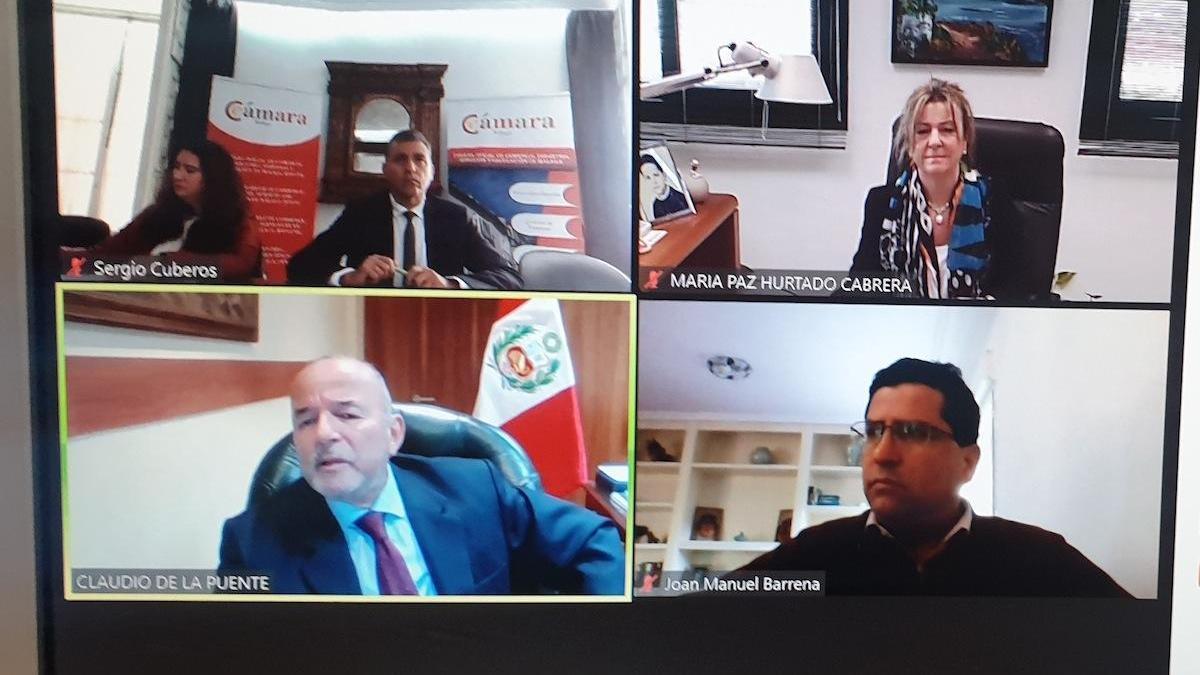 La jornada se celebró por videoconferencia.