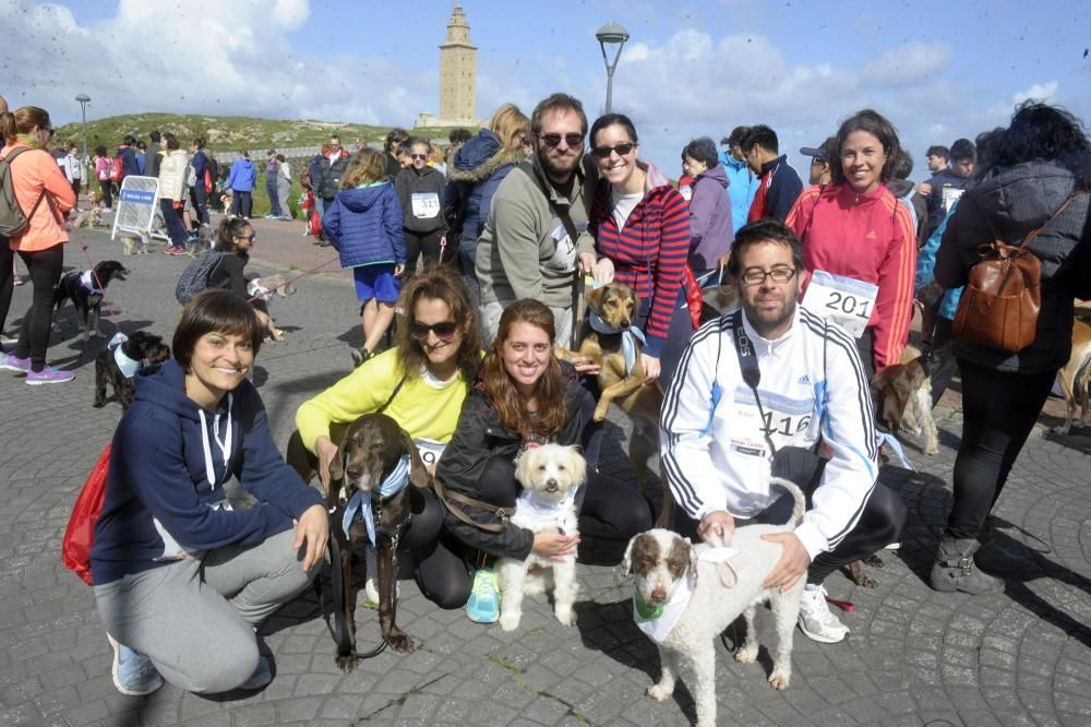 Correcán Solidario en la zona de la Torre