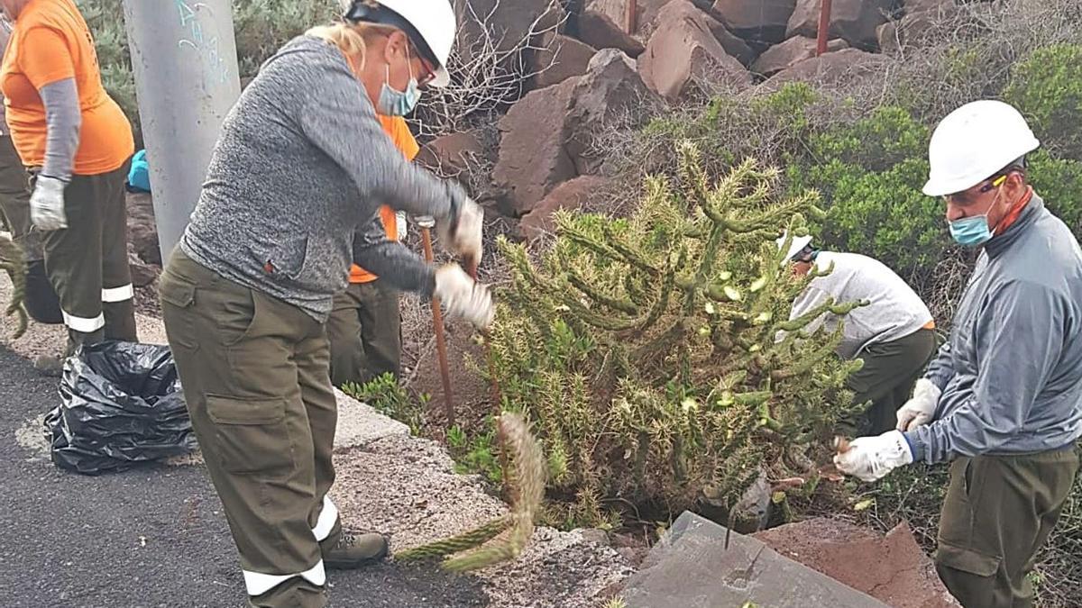 Operarios en las tareas de control de especies invasoras. | | E.D.